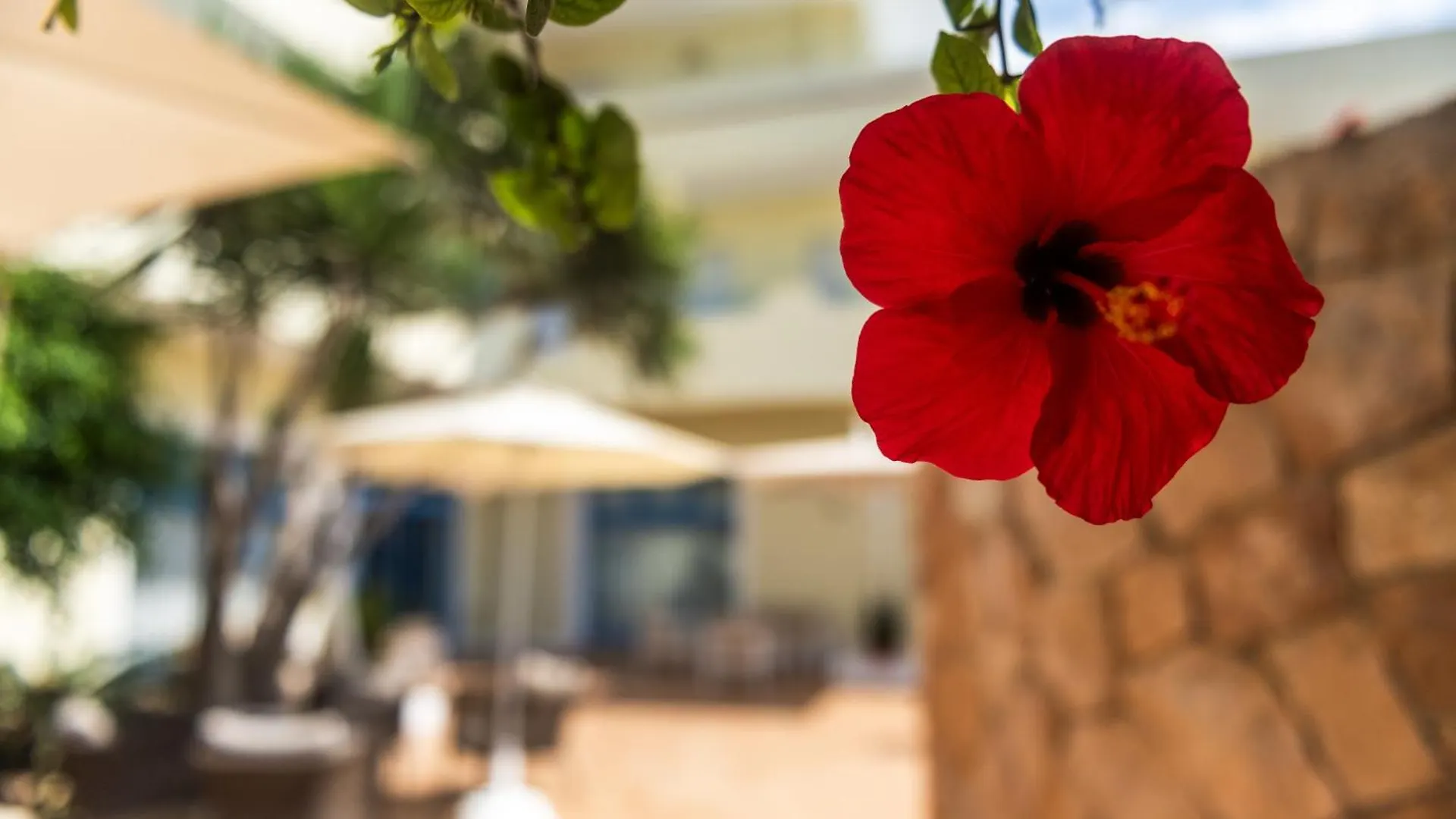 Hotel Baia Turchese Lampedusa 4*,  Italy